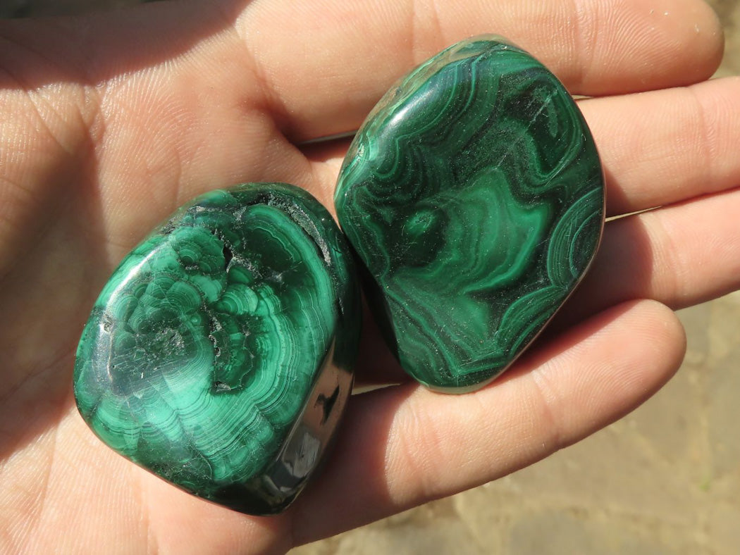 Polished Malachite Free Forms With Stunning Flower & Banding Patterns x 12 From Congo - TopRock
