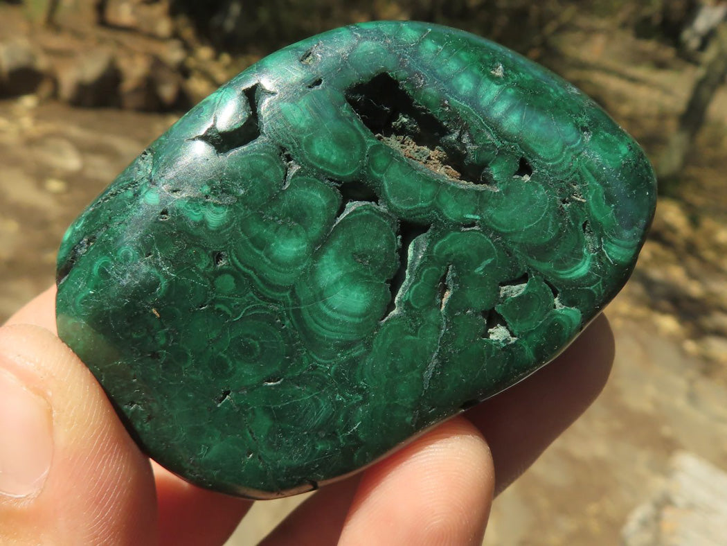 Polished Malachite Free Forms With Stunning Flower & Banding Patterns x 12 From Congo - TopRock