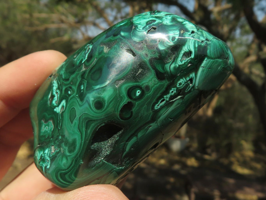 Polished Malachite Free Forms With Stunning Flower & Banding Patterns x 12 From Congo - TopRock