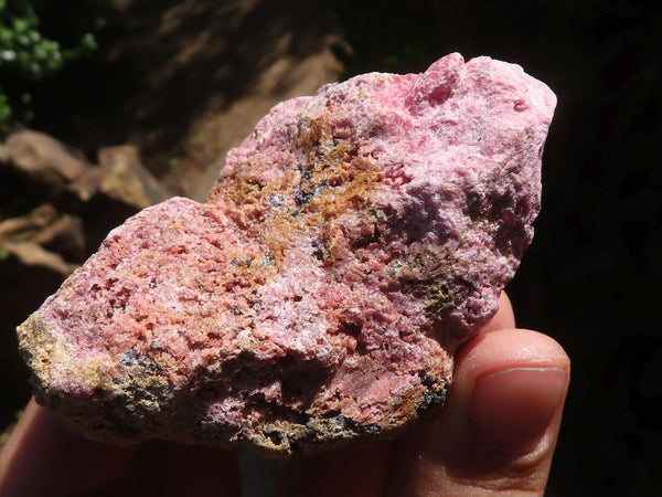 Natural Rough Rhodonite Cobbed Specimens  x 17 From Zimbabwe - TopRock
