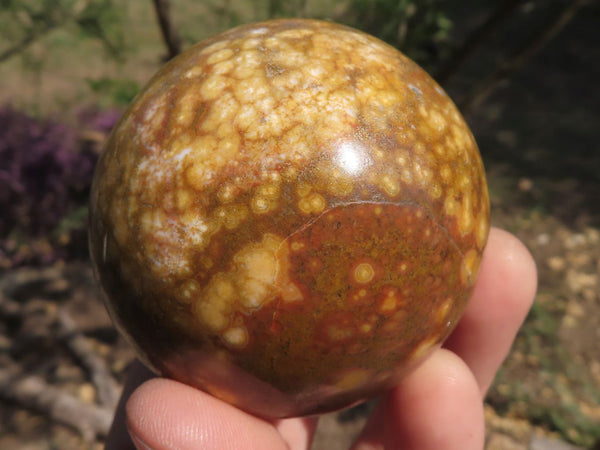 Polished Stunning Ocean Jasper Spheres With Orbicular Patterns  x 4 From Madagascar - TopRock