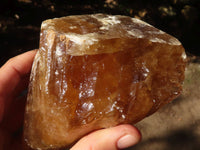 Natural Honey Aragonite Etched & Cobbed Pieces  x 3 From Namibia - Toprock Gemstones and Minerals