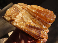 Natural Honey Aragonite Etched & Cobbed Pieces  x 3 From Namibia - Toprock Gemstones and Minerals