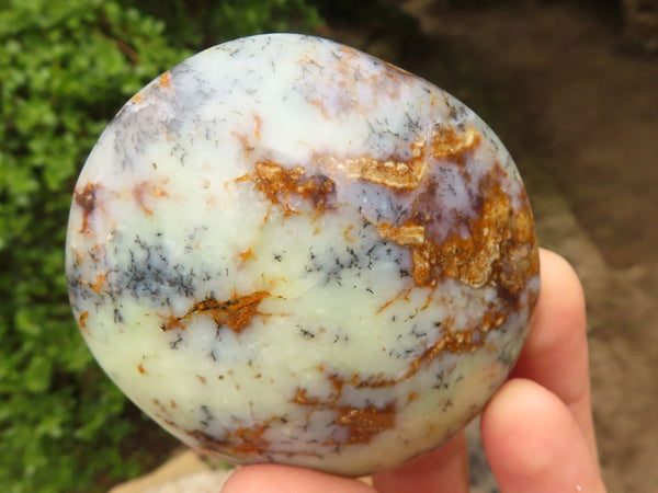 Polished Large Dendritic Opal Palm Stones  x 6 From Madagascar - Toprock Gemstones and Minerals 