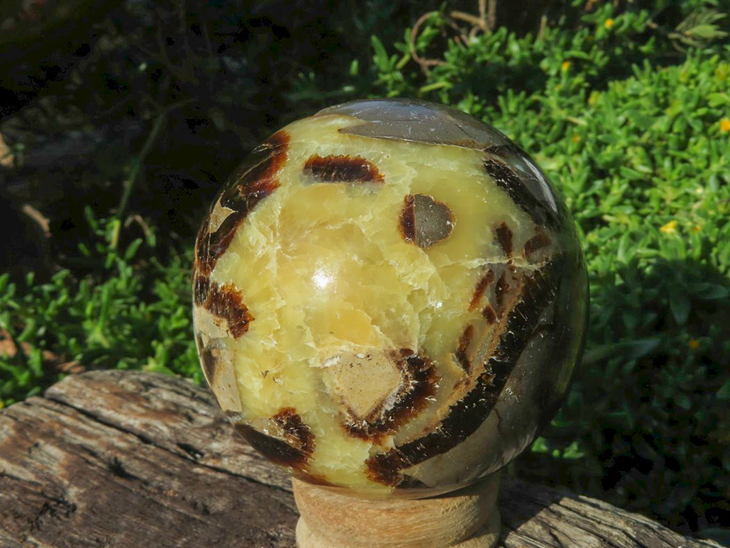 Polished Septerye Spheres x 4 From Madagascar - TopRock