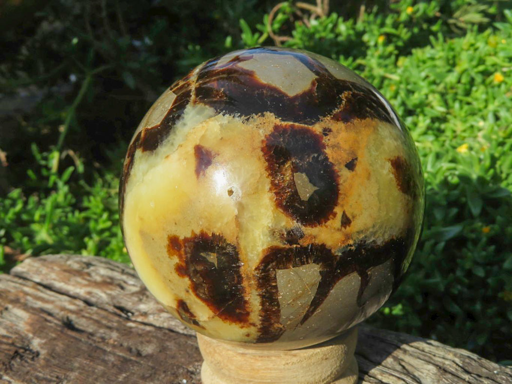 Polished Septerye Spheres x 4 From Madagascar - TopRock