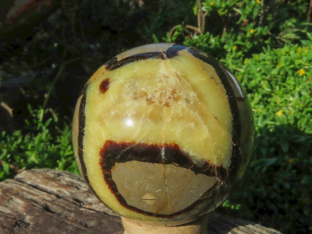 Polished Septerye Spheres x 4 From Madagascar - TopRock