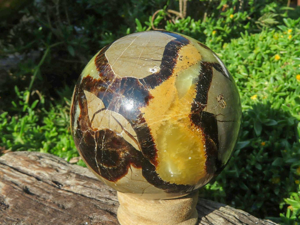 Polished Septerye Spheres x 4 From Madagascar - TopRock