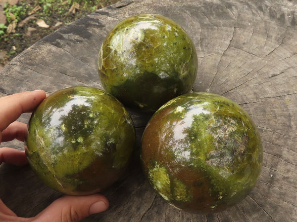 Polished Gorgeous Green Opal Spheres  x 3 From Madagascar - TopRock