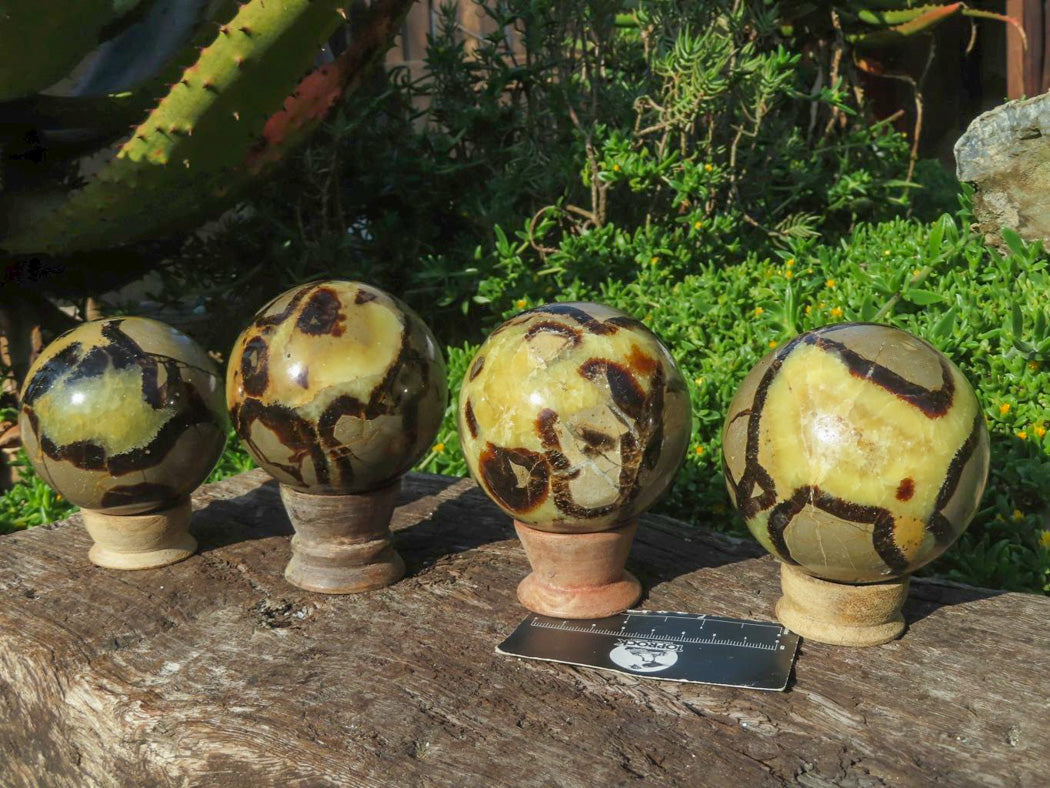 Polished Septerye Spheres x 4 From Madagascar - TopRock