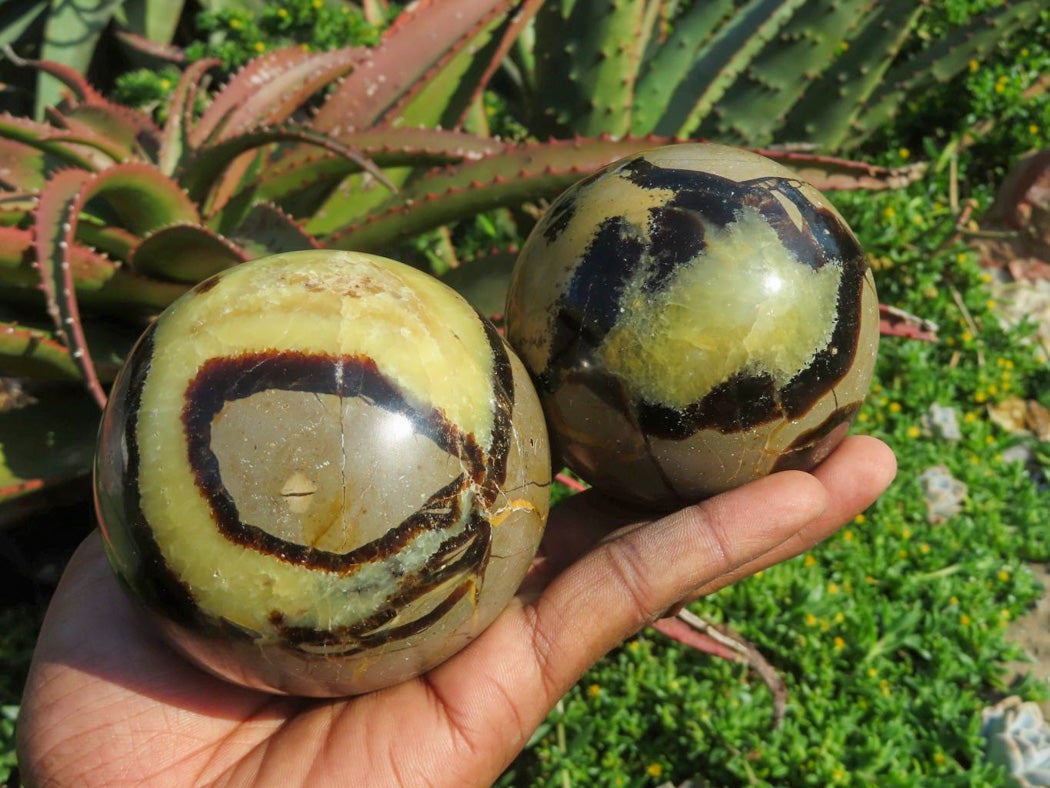 Polished Septerye Spheres x 4 From Madagascar - TopRock