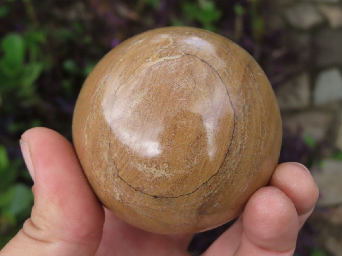 Polished Picture Stone Jasper Spheres x 6 From Namibia - TopRock