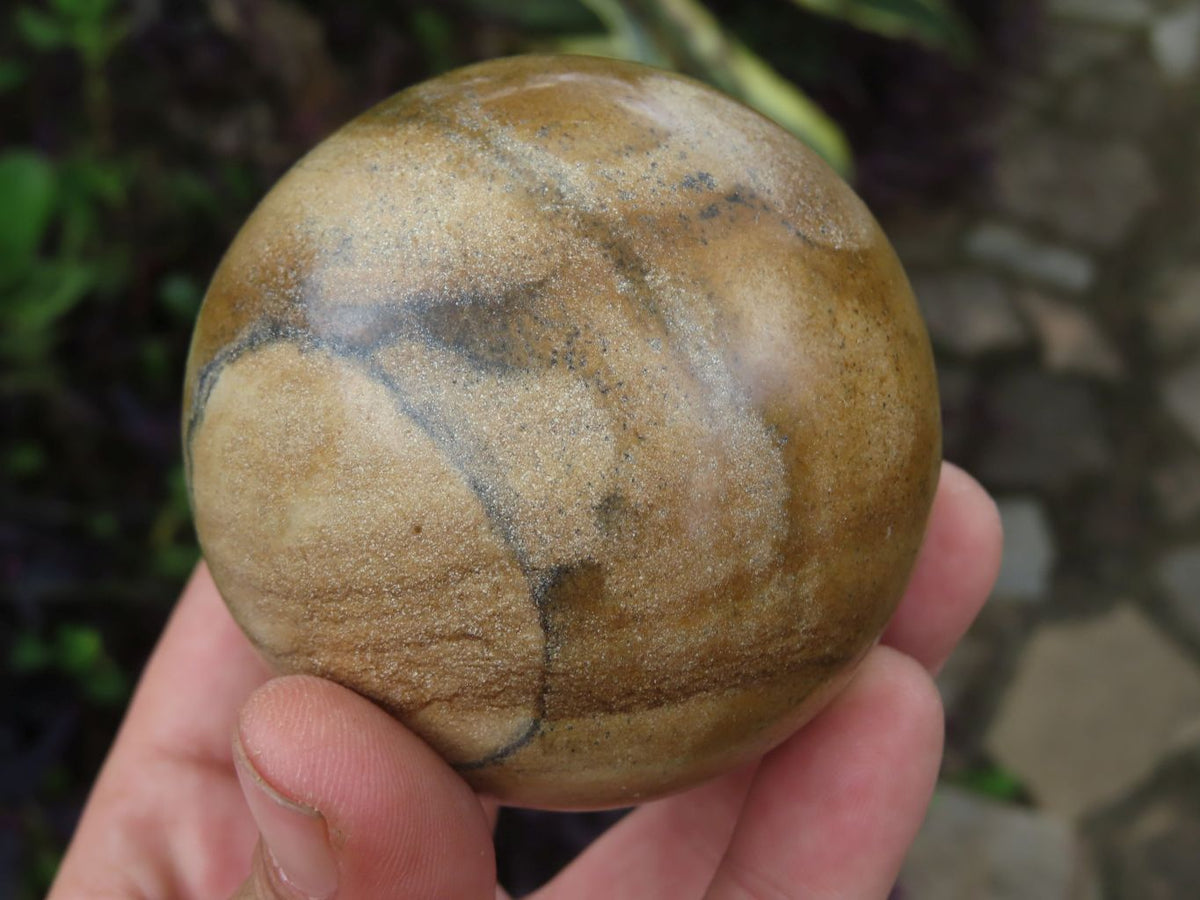 Polished Picture Stone Jasper Spheres x 6 From Namibia - TopRock