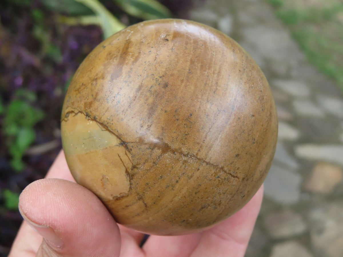 Polished Picture Stone Jasper Spheres x 6 From Namibia - TopRock