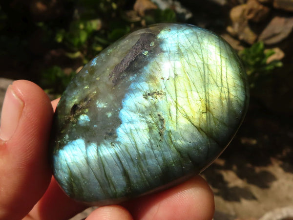 Polished Flashy Labradorite Palm Stones  x 20 From Madagascar - Toprock Gemstones and Minerals 