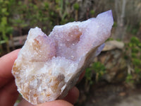 Natural Spirit Quartz Clusters x 12 From Boekenhouthoek, South Africa - Toprock Gemstones and Minerals