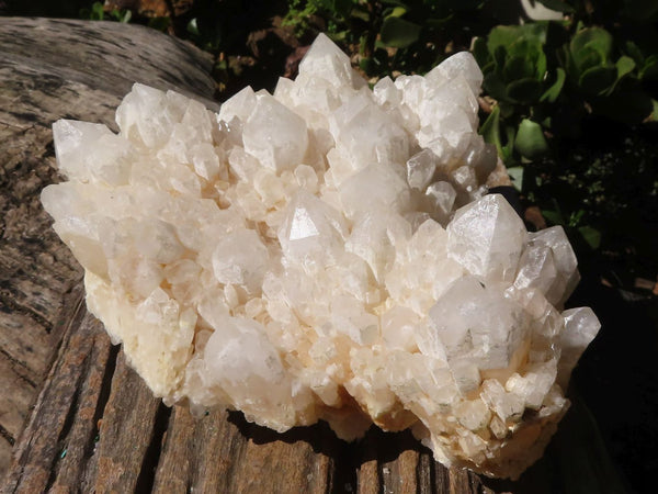 Natural Extra Large White Phantom Quartz Cluster  x 1 From Madagascar - Toprock Gemstones and Minerals 