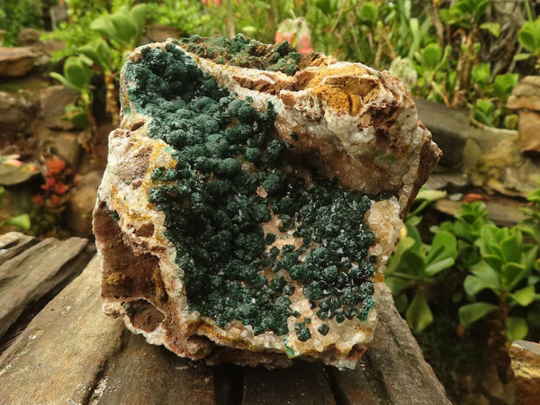 Natural Rare Ball Malachite On Drusi Quartz & Dolomite Matrix  x 1 From Kambove, Congo