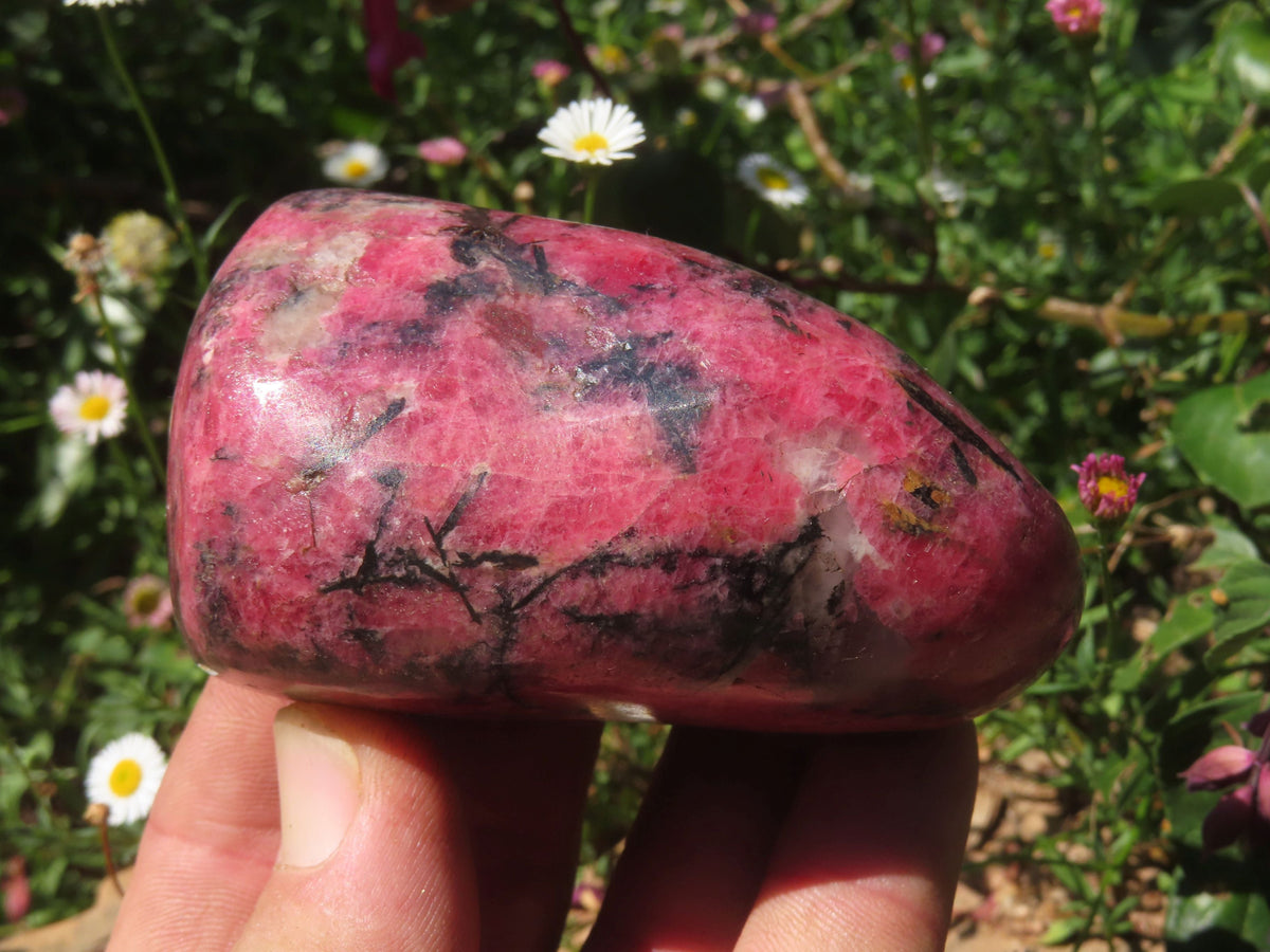 Polished Selected New Red Zimbabwe Rhodonite Made Into Free Forms - sold per Kg From Zimbabwe - TopRock