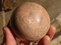 Polished Peach Moonstone Spheres  x 6 From Madagascar - Toprock Gemstones and Minerals