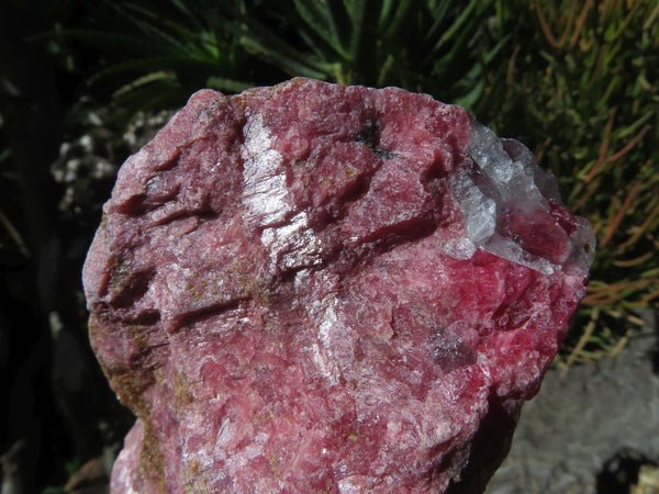 Natural Cobbed Nice Red Rhodonite Pieces x 3 From Zimbabwe - TopRock