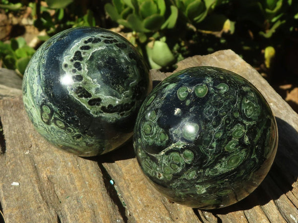 Polished Stromatolite / Kambamba Jasper Spheres  x 2 From Mahajanga, Madagascar - Toprock Gemstones and Minerals 