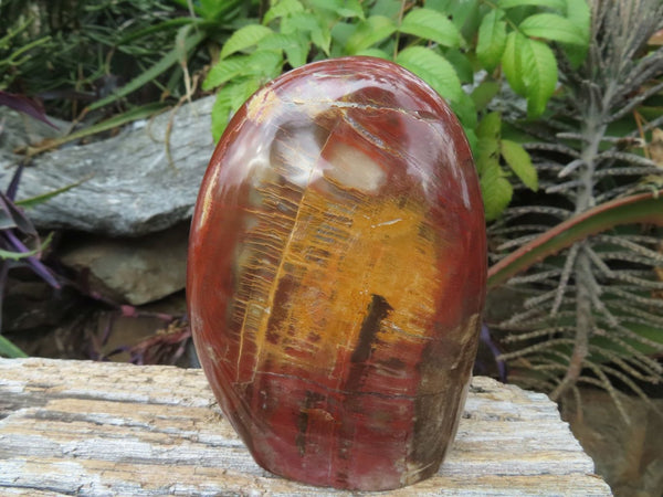 Polished Red Podocarpus Petrified Wood Standing Free Forms x 3 From Madagascar - TopRock