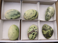 Polished Spotted Leopard Stone Gallets  x 6 From Zimbabwe - Toprock Gemstones and Minerals