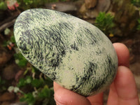 Polished Spotted Leopard Stone Gallets  x 6 From Zimbabwe - Toprock Gemstones and Minerals