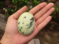 Polished Spotted Leopard Stone Gallets  x 6 From Zimbabwe - Toprock Gemstones and Minerals