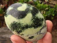 Polished Spotted Leopard Stone Gallets  x 6 From Zimbabwe - Toprock Gemstones and Minerals