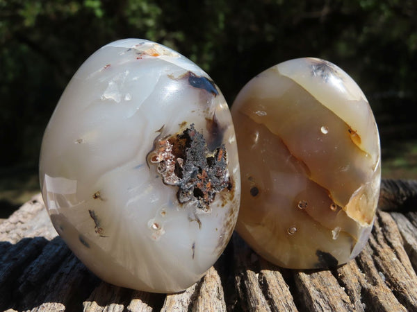Polished Dendritic Agate Standing Free Forms x 6 From Madagascar - TopRock