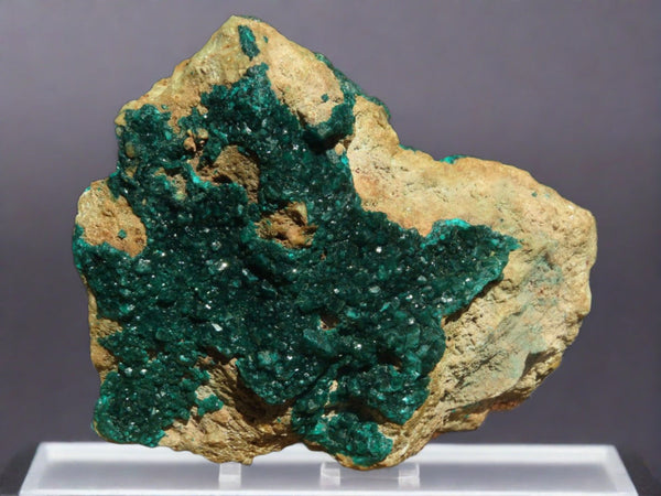 Natural XL Dioptase Cabinet Specimen x 1 From Congo - TopRock