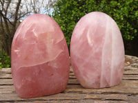 Polished Gemmy Pink Rose Quartz Standing Free Forms x 2 From Madagascar - Toprock Gemstones and Minerals