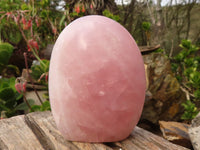 Polished Gemmy Pink Rose Quartz Standing Free Forms x 2 From Madagascar - Toprock Gemstones and Minerals