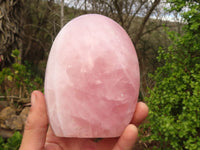 Polished Gemmy Pink Rose Quartz Standing Free Forms x 2 From Madagascar - Toprock Gemstones and Minerals