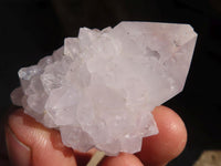 Natural White Cactus Flower Spirit Quartz Specimens x 12 From Boekenhouthoek, South Africa - Toprock Gemstones and Minerals