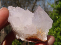 Natural White Cactus Flower Spirit Quartz Specimens x 12 From Boekenhouthoek, South Africa - Toprock Gemstones and Minerals