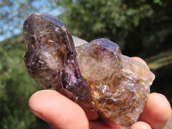 Natural Single Smokey Amethyst Crystals x 6 From Chiredzi, Zimbabwe - TopRock
