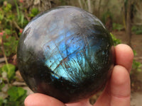 Polished Large Labradorite Spheres  x 2 From Tulear, Madagascar - Toprock Gemstones and Minerals