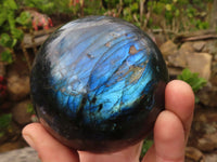 Polished Large Labradorite Spheres  x 2 From Tulear, Madagascar - Toprock Gemstones and Minerals