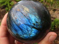 Polished Large Labradorite Spheres  x 2 From Tulear, Madagascar - Toprock Gemstones and Minerals