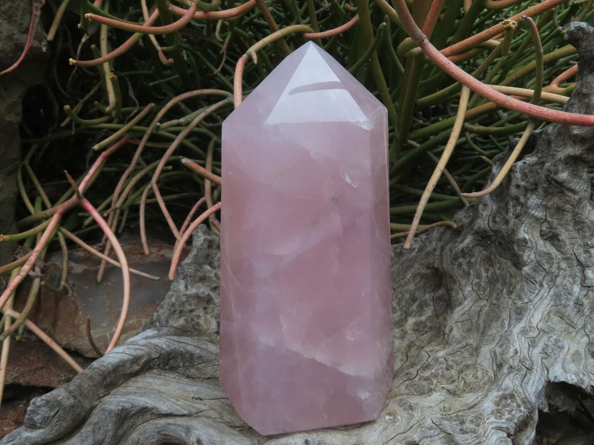 Polished Rose Quartz Crystal Points x 2 From Madagascar - TopRock