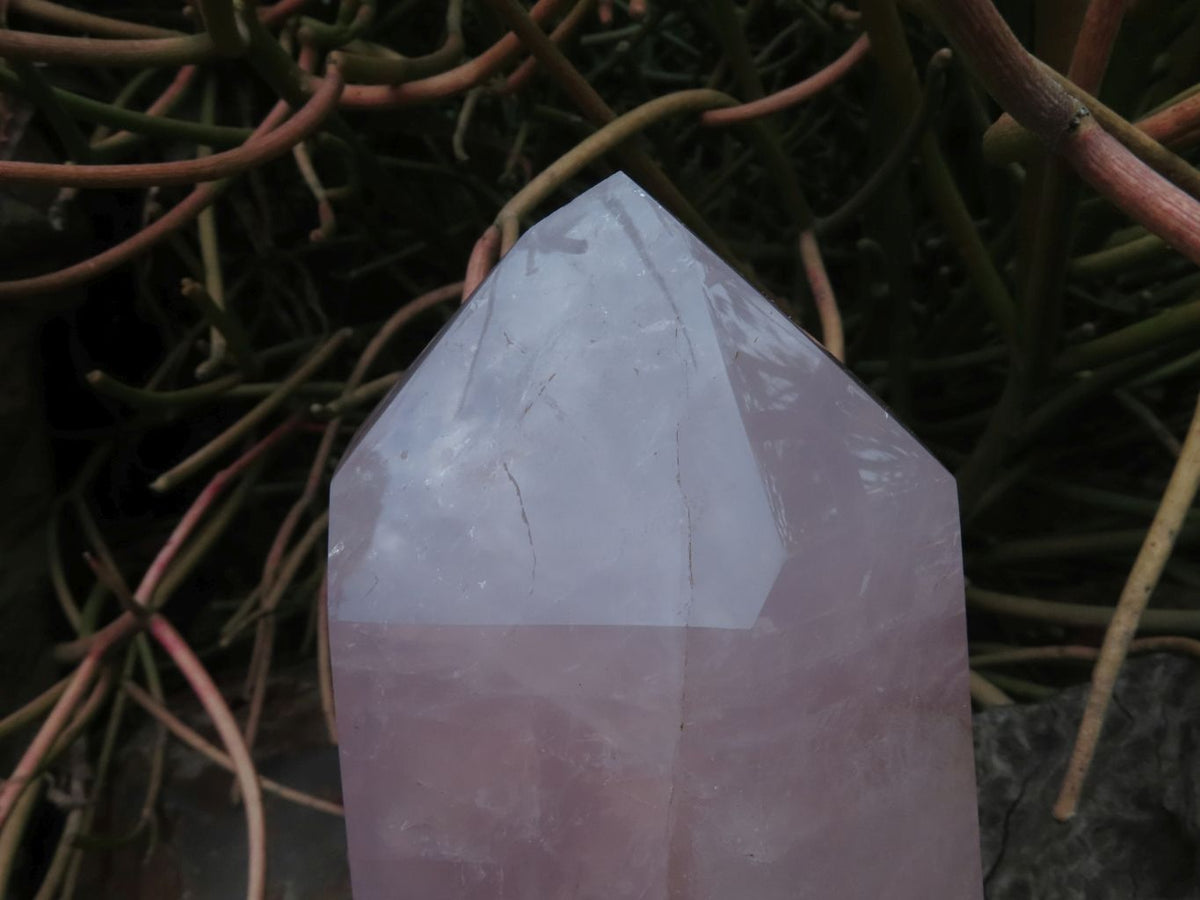 Polished Rose Quartz Crystal Points x 2 From Madagascar - TopRock
