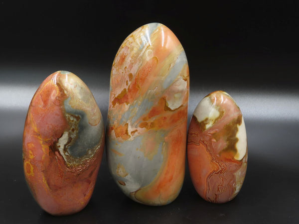 Polished Polychrome Jasper Standing Free Forms x 3 From North West Coast, Madagascar - TopRock