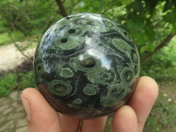 Polished Stromatolite / Kambamba Jasper Spheres  x 6 From Mahajanga, Madagascar - TopRock