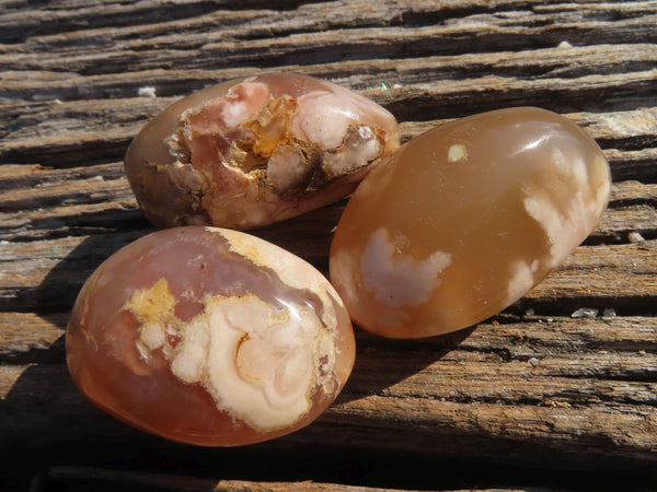Polished Stunning Coral Flower Agate Gallets x 24 From Madagascar - TopRock