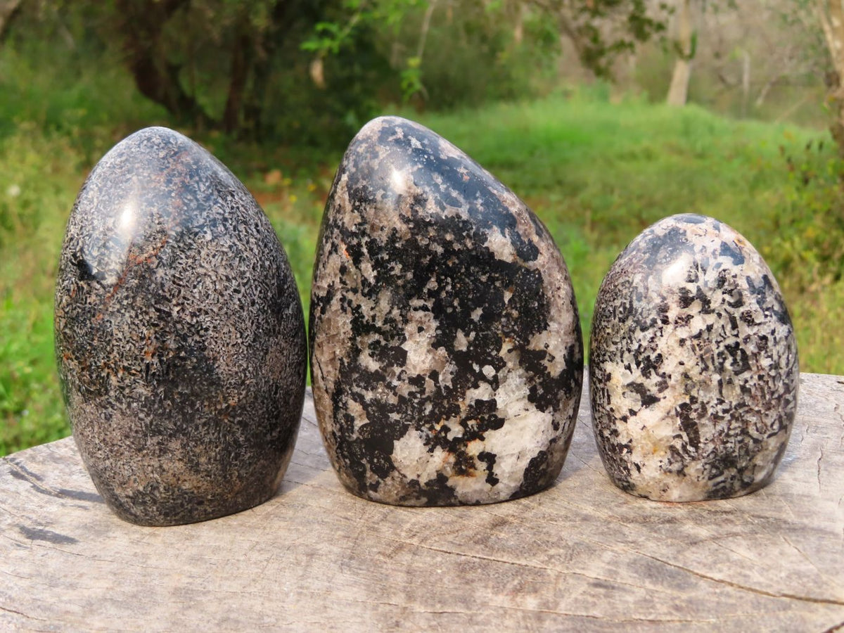 Polished Black Tourmaline In Matrix Standing Free Forms x 3 From Madagascar - TopRock