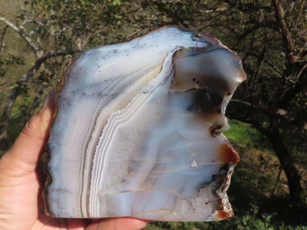 Polished Extra Large Half Polished Dendritic Banded Agate Standing Free Form  x 1 From Moralambo, Madagascar - TopRock