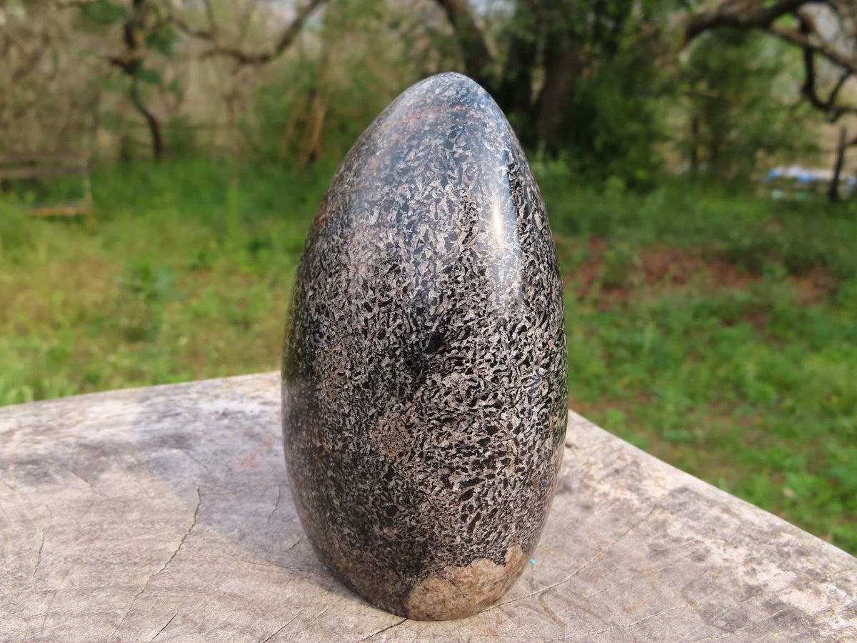Polished Black Tourmaline In Matrix Standing Free Forms x 3 From Madagascar - TopRock